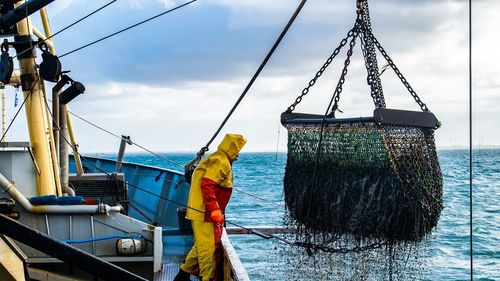 Pescarii români nu mai prind nimic în Marea Neagră. De ce au dispărut peștii