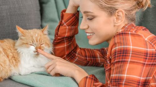 Oamenii de știință au descoperit cum să te iubească pisica mai mult. Care este secretul relației frumoase cu felina ta