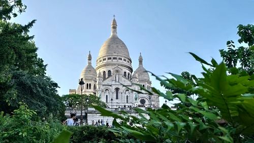 Primăria Parisului va planta o mie de arbori pe alte 120 de străzi. Peste 113.000 de arbori au fost deja plantaţi în capitala Franței