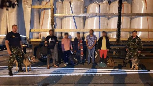 VIDEO Automarfare, oprite la frontiera cu Ungaria: 82 de cetăţeni străini au fost găsiți în compartimentele pentru marfă/ Bărbații încercau să treacă ilegal granița și să ajungă în state din Schengen