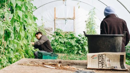 Judeţul Bihor va avea o hartă interactivă a producătorilor locali / Harta va fi încărcată inclusiv cu imagini din ferme