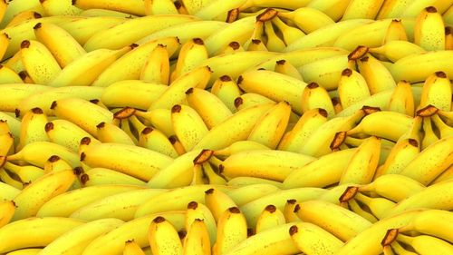 Exporturile de banane din Columbia au scăzut anul trecut pe fondul vremii ploioase și al războiului din Ucraina / Columbia este al cincilea exportator de banane din lume, după Ecuador, Guatemala, Costa Rica și Filipine  