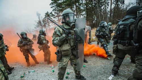 Lituania discută cu Germania pentru creșterea prezenței militare germane pe teritoriul lituanian „în lumina evenimentelor actuale” din estul Europei, susține președintele țării baltice