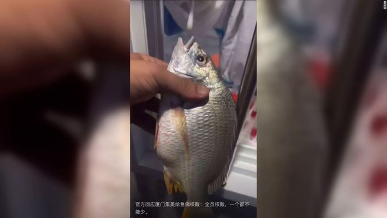 VIDEO Un oraș din China testează pentru COVID-19 peștii proaspăt prinși / Politica a stârnit râsul pe internet și a atras critici din partea experților