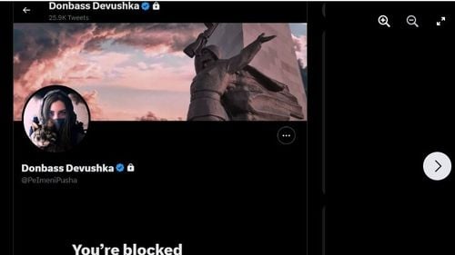 Donbass Devushka -  “domnișoara din Donbass” – fostă subofițeră de Marină a SUA – investigată pentru scurgeri de documente secrete