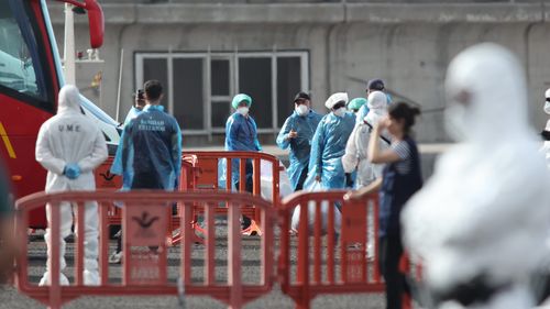 Cazuri de hantavirus confirmate în SUA și Franța / Autoritățile franceze au identificat alte 22 de persoane considerate contacte, altele decât cele de pe nava de croazieră