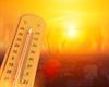 Record de căldură înregistrat pentru luna iunie, în Anglia / O alertă pentru „căldură extremă” a fost emisă timp de trei zile la rând / S-a mai întâmplat o singură dată în istorie, într-o zi din iulie 2022