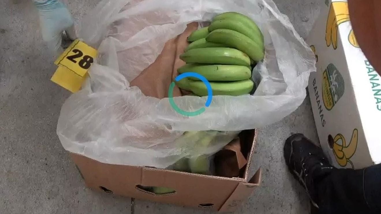 BREAKING Jumătate de tonă de cocaină în valoare de 25 de milioane de euro descoperită într-un depozit de lângă București