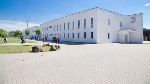 Coronavirus în România: Marile fabrici închise temporar: Dacia, Ford, Pirelli, Dräxlmaier. Și retailerii și producătorii de mobilă își trimit angajații în șomaj tehnic