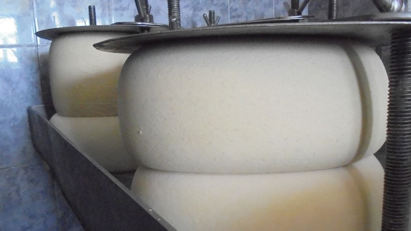 Germania, cel mai mare producător de brânză din UE în 2018. Lituania produce mai multă brânză decât România