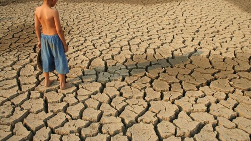 Studiu: 2024 este cel mai cald an înregistrat vreodată / Cercetător Copernicus: ”Ne vom confrunta în continuare cu temperaturi ridicate, rezultând valuri de căldură periculoase, secete, incendii de vegetaţie şi cicloane tropicale””