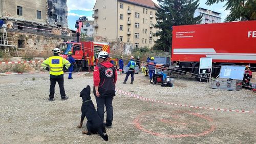 Clubul Câinilor Utilitari a reprezentat România cu onoare în Austria. Eroii cu blăniță au participat la simulări de dezastre naturale și catastrofe majore