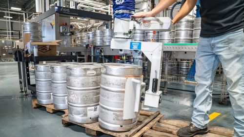 Din cauza scăderii cantității de bere produsă în pandemie, orzul de calitate ar putea ajunge nutreț pentru porci