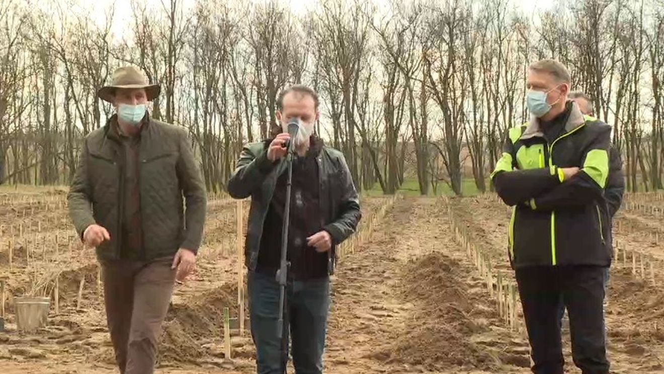 VIDEO Iohannis și Cîțu, împreună în premieră la un eveniment public: campania de împădurire pe terenurile deșertificate din Dolj