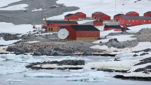 Antarctica este singurul continent fără coronavirus / Cercetătorii din programele antarctice se asigură că va rămâne aşa