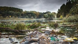 Studiu WWF: 90% dintre bazinele fluviale europene vor fi insalubre în 2027