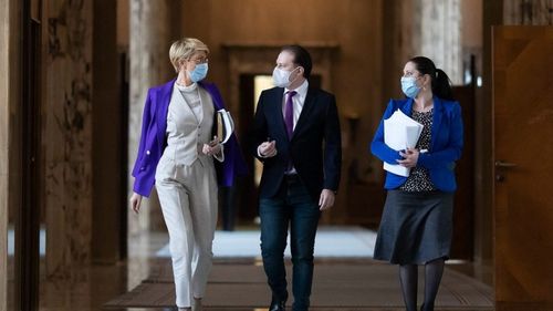 Raluca Turcan: Avem în PNL o bătălie aproape pe viaţă şi pe moarte. Majoritatea parlamentară este una sensibilă, dacă noi creăm falii acum în PNL, riscăm soarta PSD, să îşi dea jos propriul Guvern