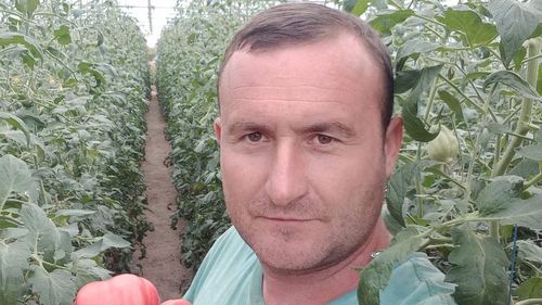 Un fermier din Gorj cultivă roșii-gigant, care ajung să depășească 1,5 kg / ”Pentru 1.000 de semințe am dat 4.000 de lei”