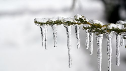 Salvamont Mureș avertizează: pe munte vor fi până la -20 grade Celsius, în acest weekend