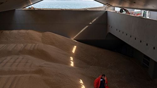 Ucraina nu îşi va limita exporturile de grâu în sezonul 2025-2026 / Recolta este mai mare decât cea de anul trecut iar ratele de export sunt mai mici, arată Ministerul Agriculturii