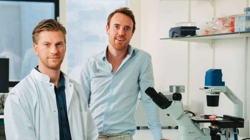 Un start-up olandez ”cultivă” carne de porc în laborator pentru consumatorii preocupaţi de protejarea mediului