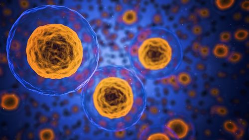 Cercetătorii au obţinut un organism unicelular sintetic, capabil să se autoreproducă / Aceste celule senzoriale pot fi programate să producă medicamente şi pot fi plasate în organismul uman pentru a le elibera la nevoie