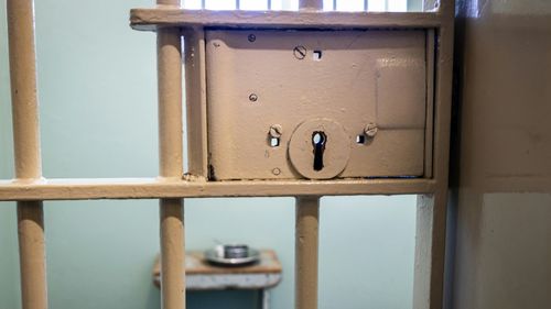 Tatăl fetiţei din Rusia care făcuse un desen antirăzboi a fost eliberat după un an şi şapte luni de detenţie