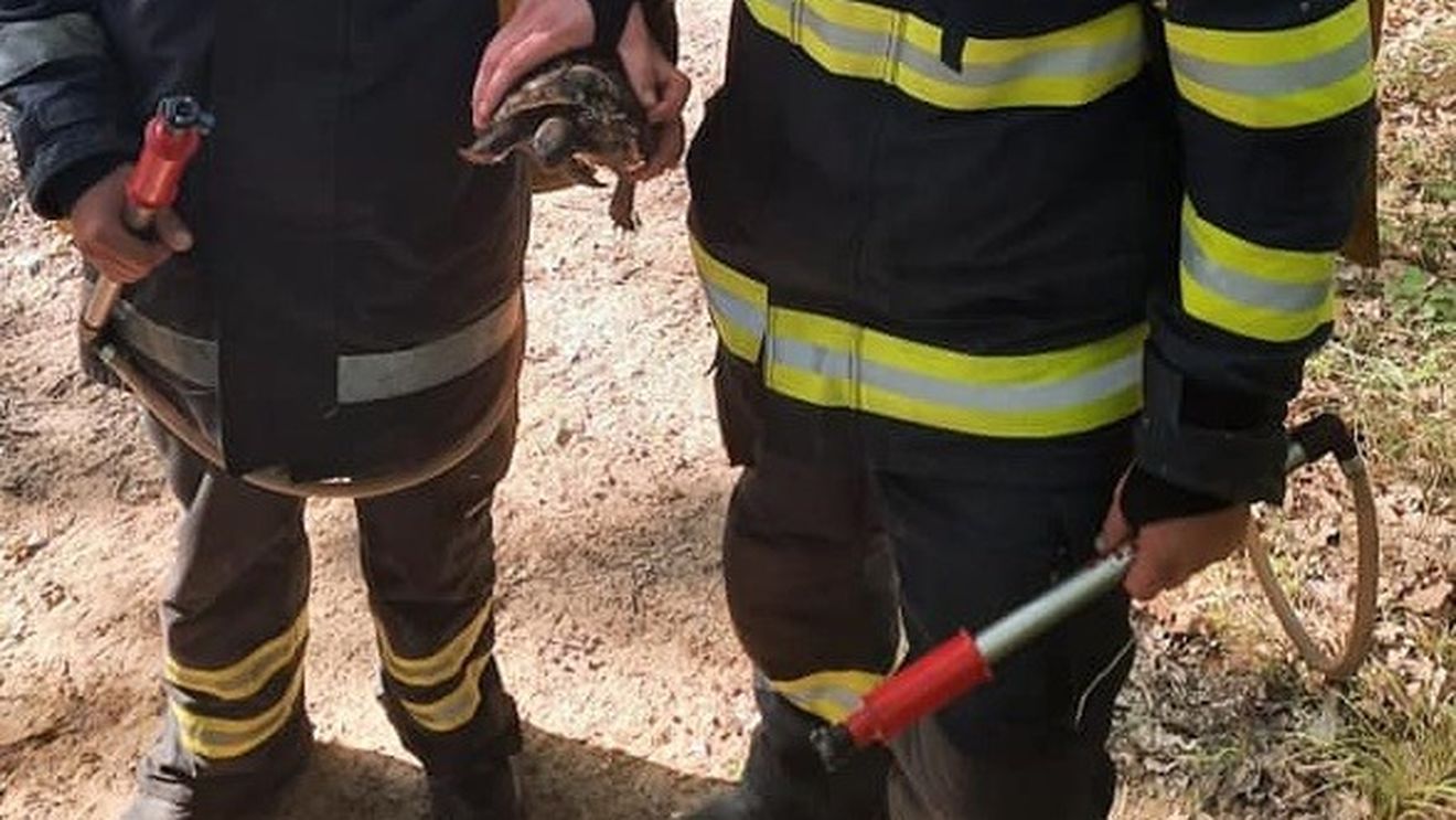Bacău: Bărbat, prins sub un mal de pământ într-o carieră de piatră. Intervin mai multe echipaje de salvatori