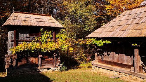 Mutat la Ţară Fest, eveniment care aduce în prim-plan patrimoniul cultural viu al satului românesc, are loc în judeţele Alba şi Prahova