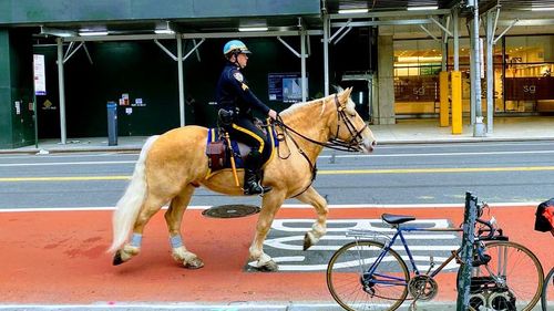 Măsurile luate în unele state americane ridică întrebări despre încălcarea libertăților fundamentale: Rupem în bucăți Constituția din cauza virusului