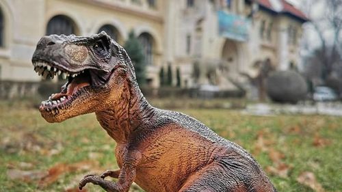 STUDIU Tyrannosaurus rex avea dinţii acoperiţi de buze: „Trăim încă în umbra Jurassic Park, trebuie să ne îndepărtăm de această înfăţişare”