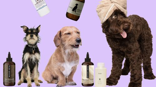 Șampoane 2 in 1 pentru câini și oameni? Brandurile care fac skincare acum fac și șampon sau balsam pentru câini / The Ouai, Kiehl's, Aesop și PRIDE+GROOM