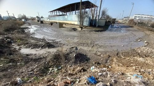 Senatul a adoptat proiectul privind instituirea celei de-a treia zi de sâmbătă din luna septembrie ca „Ziua de Curăţenie Naţională”