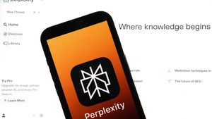 Perplexity AI depune o ofertă de fuziune cu TikTok