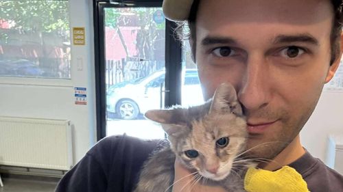 Asociația Miw Miw: Povestea tânărului care a transformat dragostea pentru pisici într-o misiune de salvare (FOTO)