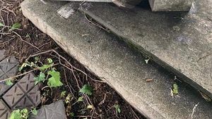 Cinci tineri, suspecți de profanarea monumentelor funerare din Cimitirul Evreiesc din Ploiești. Poliția susține că acțiunea ”nu are legătură cu acțiuni antisemite”