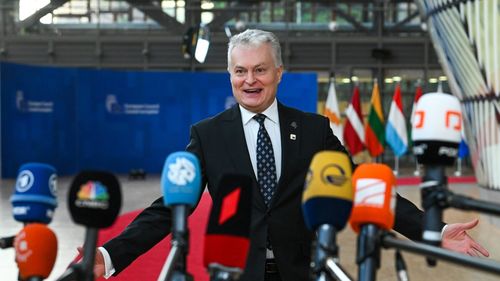 Alegeri în Lituania - președintele în exercițiu conduce detașat în primul tur