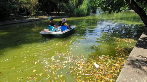 Nicușor Dan anunță că l-a demis pe directorul instituției care se ocupă de curățenia din parcurile din Capitală și promite că parcul Cișmigiu va fi pus la punct într-o săptămână