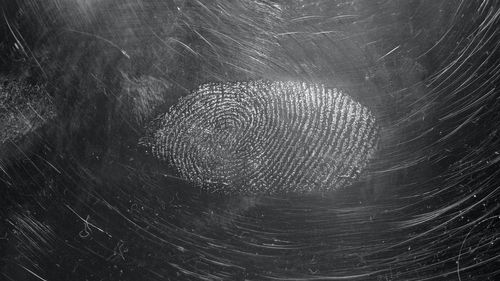 Amprentare obligatorie din august în Germania pentru noua carte de identitate / Activiștii pentru protecția datelor se tem de mai multă supraveghere din partea statului