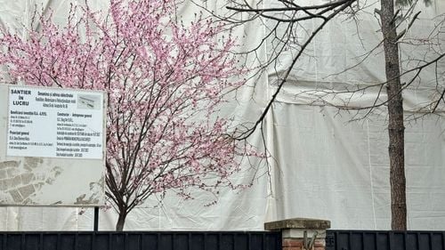 Circa 2,8 milioane de euro fără TVA au fost investiți până acum în vila din Aviatorilor 86, pentru lucrările de renovare, a anunțat Secretariatul General al Guvernului / Instituția nu precizează dacă imobilul a fost repartizat lui Klaus Iohannis