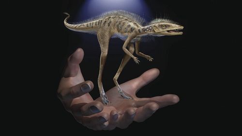 STUDIU O reptilă insectivoră de dimensiuni modeste a fost precursoarea dinozaurilor