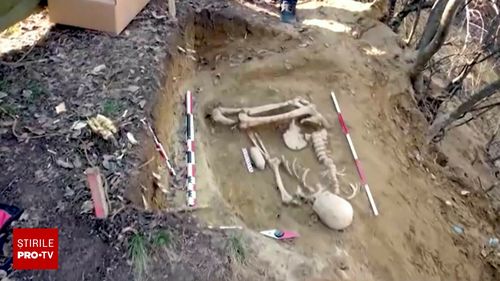 Localitatea din România care devine treptat un El Dorado pentru paleontologi și antropologi. Ce descoperiri uriașe s-au făcut