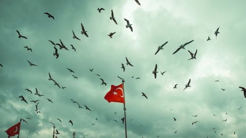 Aproape 200 de persoane sunt judecate după ce au protestat în Turcia / Erdogan se confruntă în continuare cu o opoziție care ia amploare în rândul tinerilor din universităţi şi licee