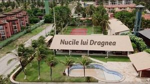 VIDEO Rise Project: Banii dumneavoastră au cumpărat cocotieri în Brazilia
