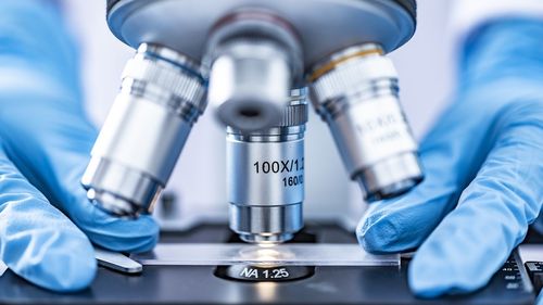 Uniunea Europeană facilitează donaţia unui antiviral experimental împotriva hantavirusului către Spania, Franţa şi Olanda