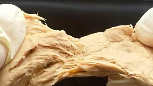 Ciuperci superproteice cu gust și consistență de carne, obtinute de o echipă de cercetători din China prin eliminarea a două gene și conținut redus de energie și nutrienți