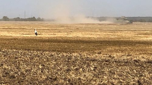 Ungaria pregătește un Fond Privat cu care să cumpere terenuri agricole în statele vecine / Cum și-a adaptat Budapesta politica de investiții în Transilvania