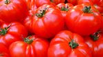 ANALIZĂ | Cum este Europa invadată de roșiile marocane. O concurență neloială prin care, pe mesele europenilor, ajung fructe și legume ieftine, dar infestate de pesticide periculoase pentru sănătate