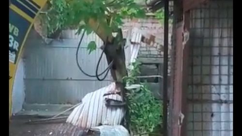 VIDEO Clotilde Armand anunță că a început demolarea garajelor de pe Calea Victoriei, "la doi pași de Guvernul României": ”Astfel de construcţii improvizate şi insalubre, pline de rugină şi inestetice, nu-şi au locul într-o capitală europeană”