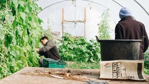 Parchetul European confiscă 700 000 de euro în cadrul unei anchete în Italia privind o fraudă cu fonduri pentru agricultura ecologică